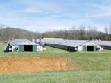 Bon prix préfabriqué/ structure de construction à ossature en acier léger préfabriqué structure de conception modulaire maison de ferme de volaille de poulet