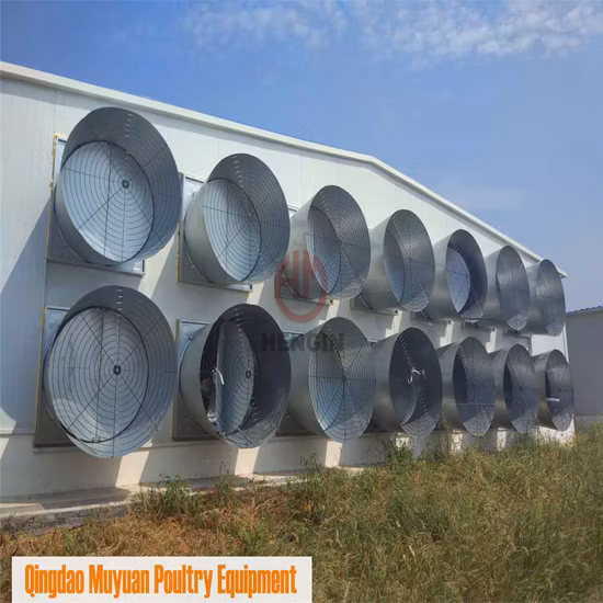 Structure en acier de conception de mise en page moderne couche oeuf poulet cage poulets de chair ferme de volaille