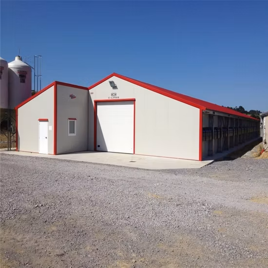 Populaires préfabriqués galvanisés personnalisés en Chine Projet de structure en acier Fermes avicoles Poulailler Maison à bas prix