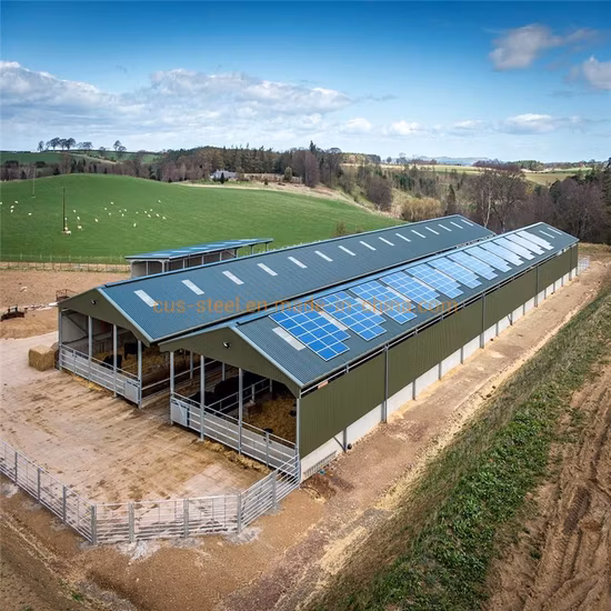 Structure en acier préfabriquée au meilleur prix Maison d'élevage de volaille