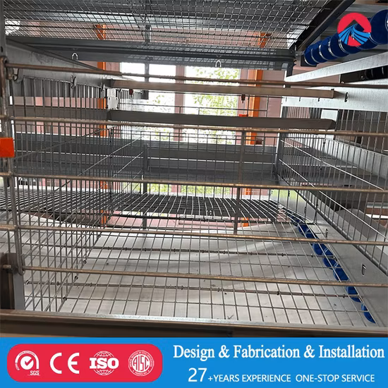 Poulet de volaille à structure métallique à guichet unique