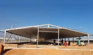 Châssis en métal galvanisé préfabriqué/panneau sandwich Bâtiment de ferme avicole Hangar de structure en acier Maison de poulet pour porc/vache/chèvre/poulet de chair/reproducteur/couche/œuf