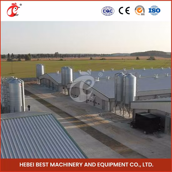 Bestchickencage Steel Poultry House Chine Structure Steel Chicken Houses Manufacturing Ferme de poulet de volaille automatique Vente en gros Poulailler en acier léger