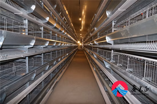 Chambre de poulets de chair de volaille de poulet de structure métallique avec galvanisé plongé chaud