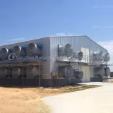 Poulailler entièrement fermé avec équipement de cage de pondeuse automatique